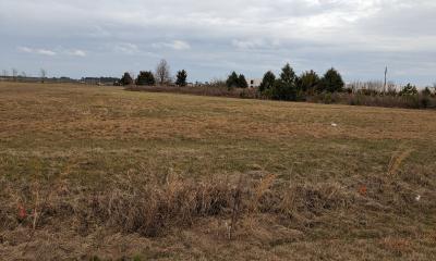 Future site of the Americus Fresh food processing facility made possible by more than $90M in USDA loans