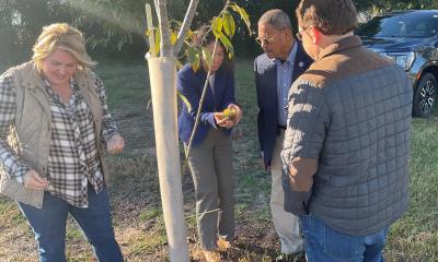 Congressman Bishop and USDA Under Secretary Torres Small tour Pippin Orchard LLC in Albany, GA