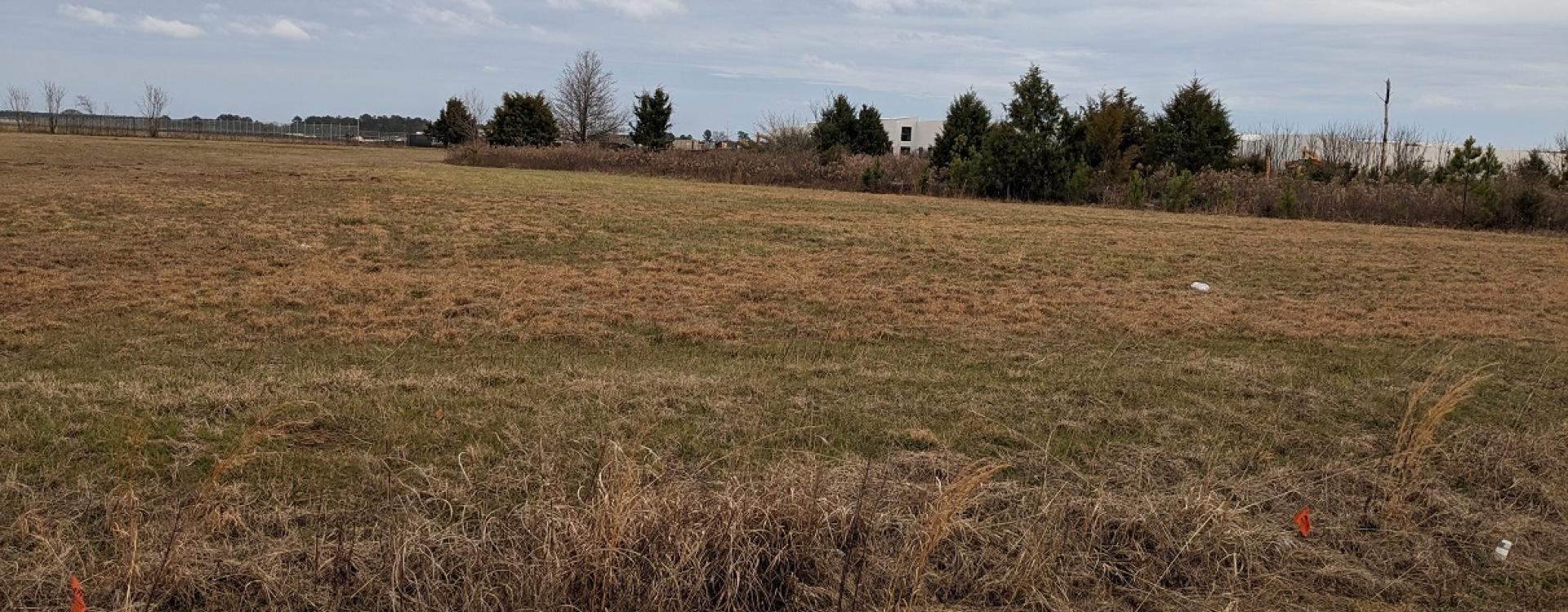Future site of the Americus Fresh food processing facility made possible by more than $90M in USDA loans